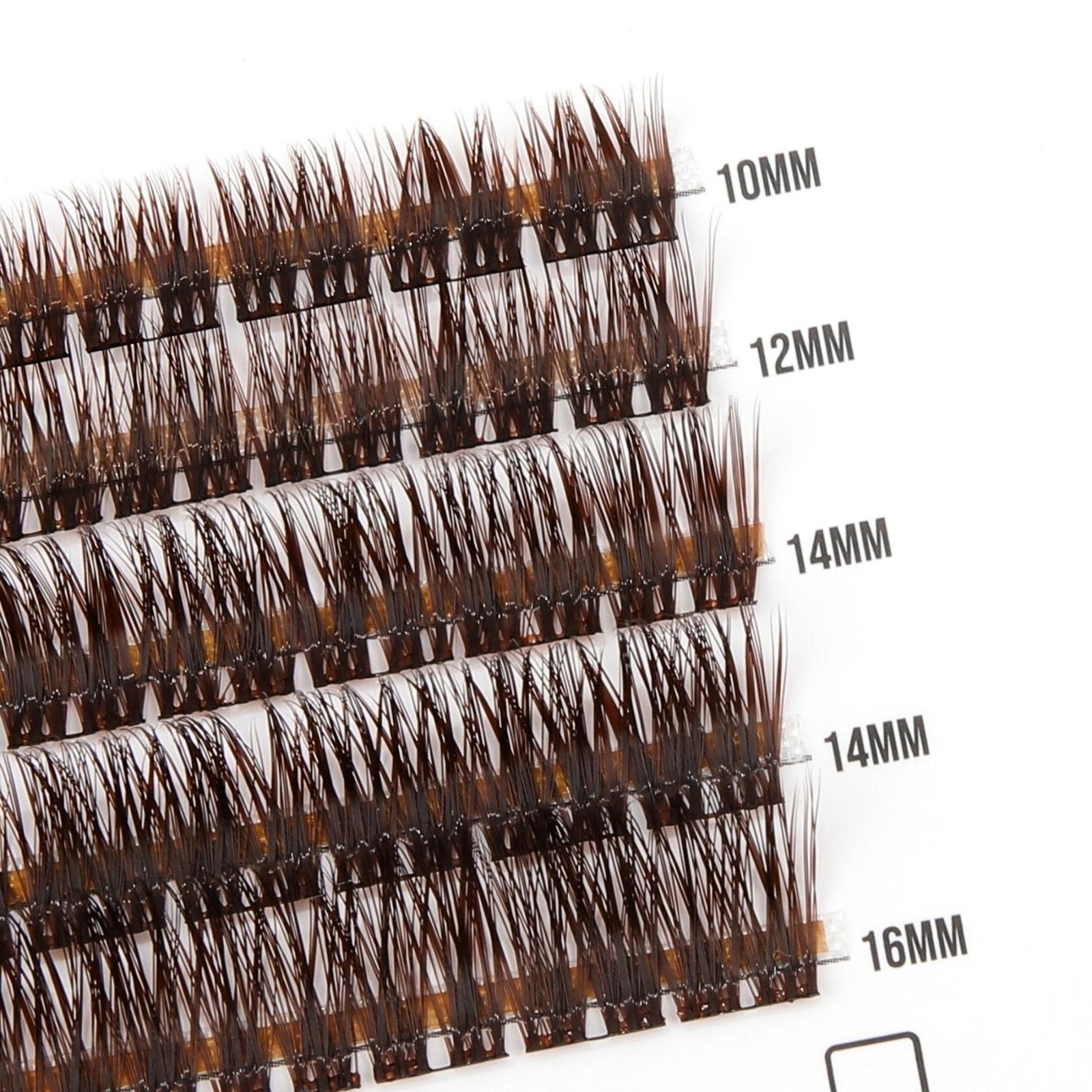 Dark Chocolate – Eyelash clusters 50 pcs