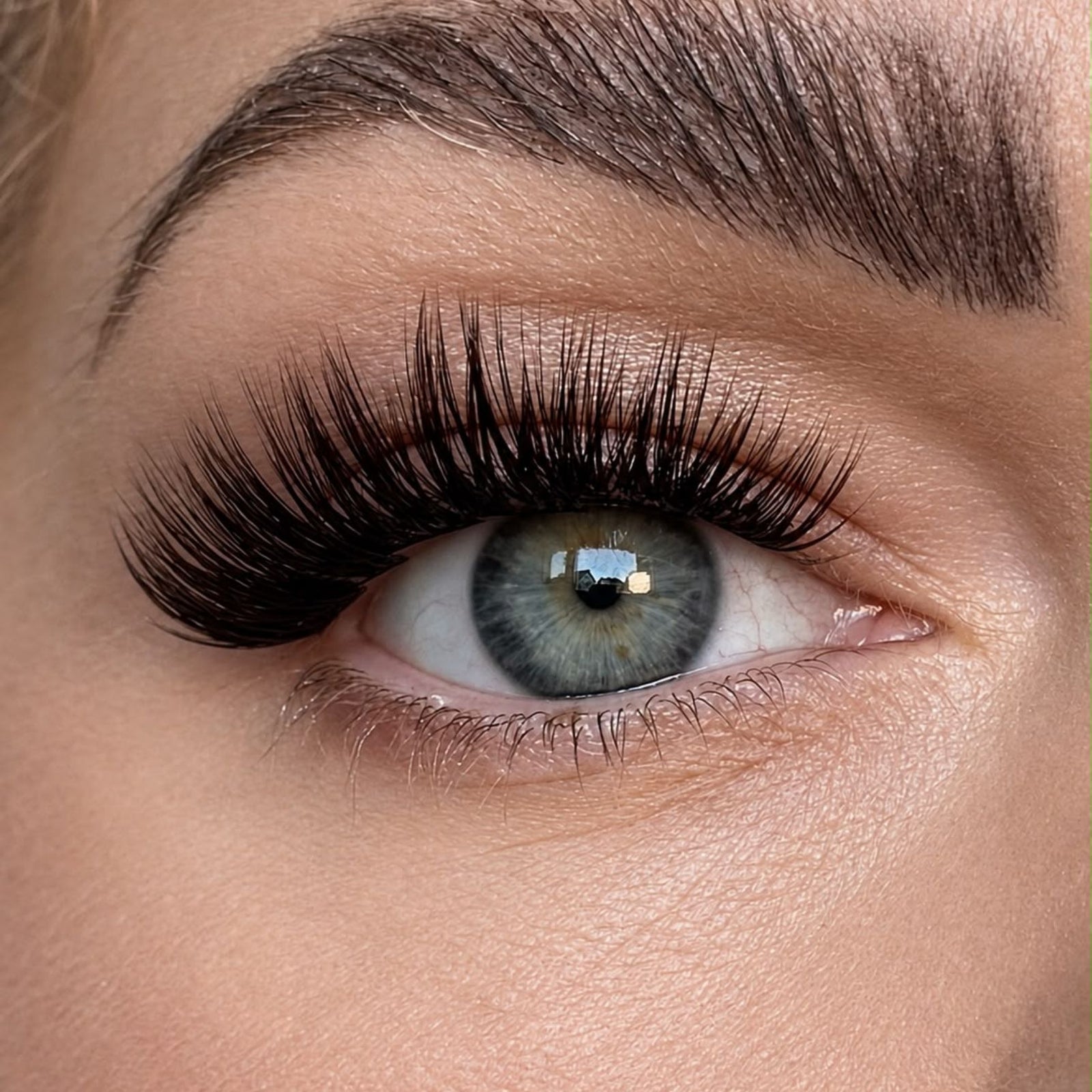 Dark Chocolate – Eyelash clusters 50 pcs