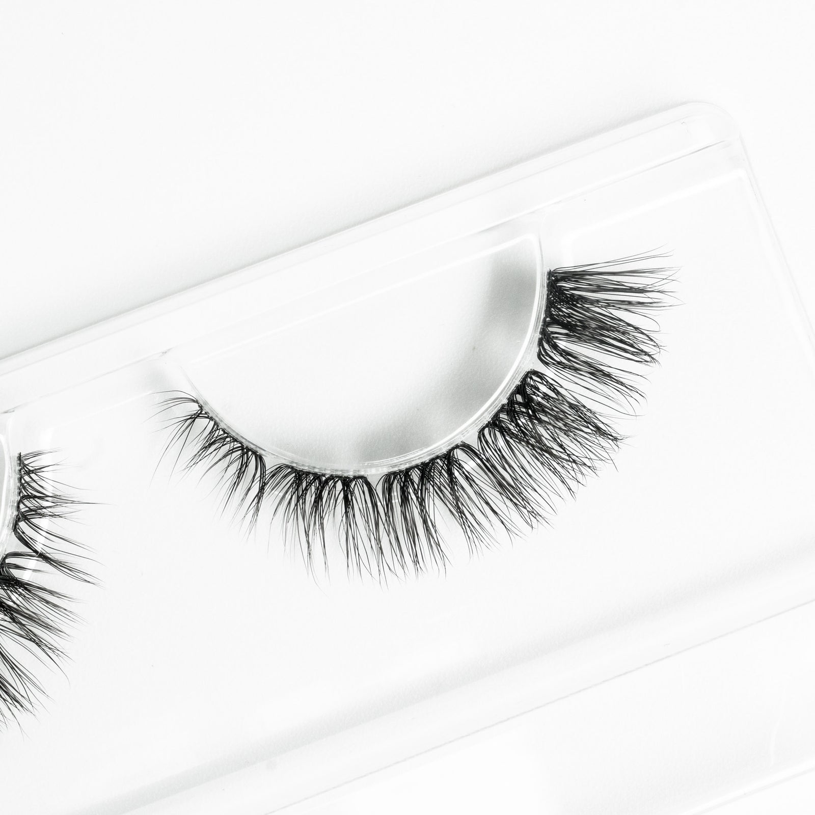 Cat Eye