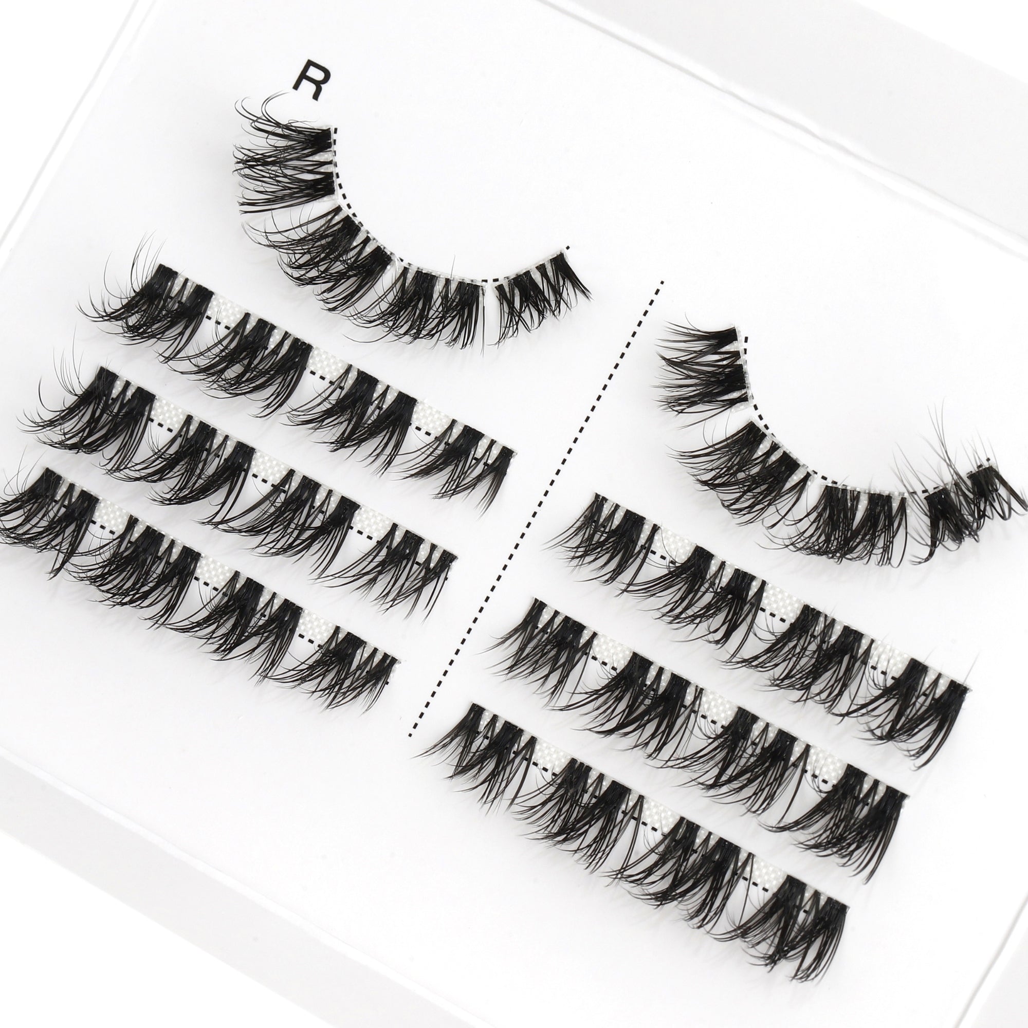AngelLash