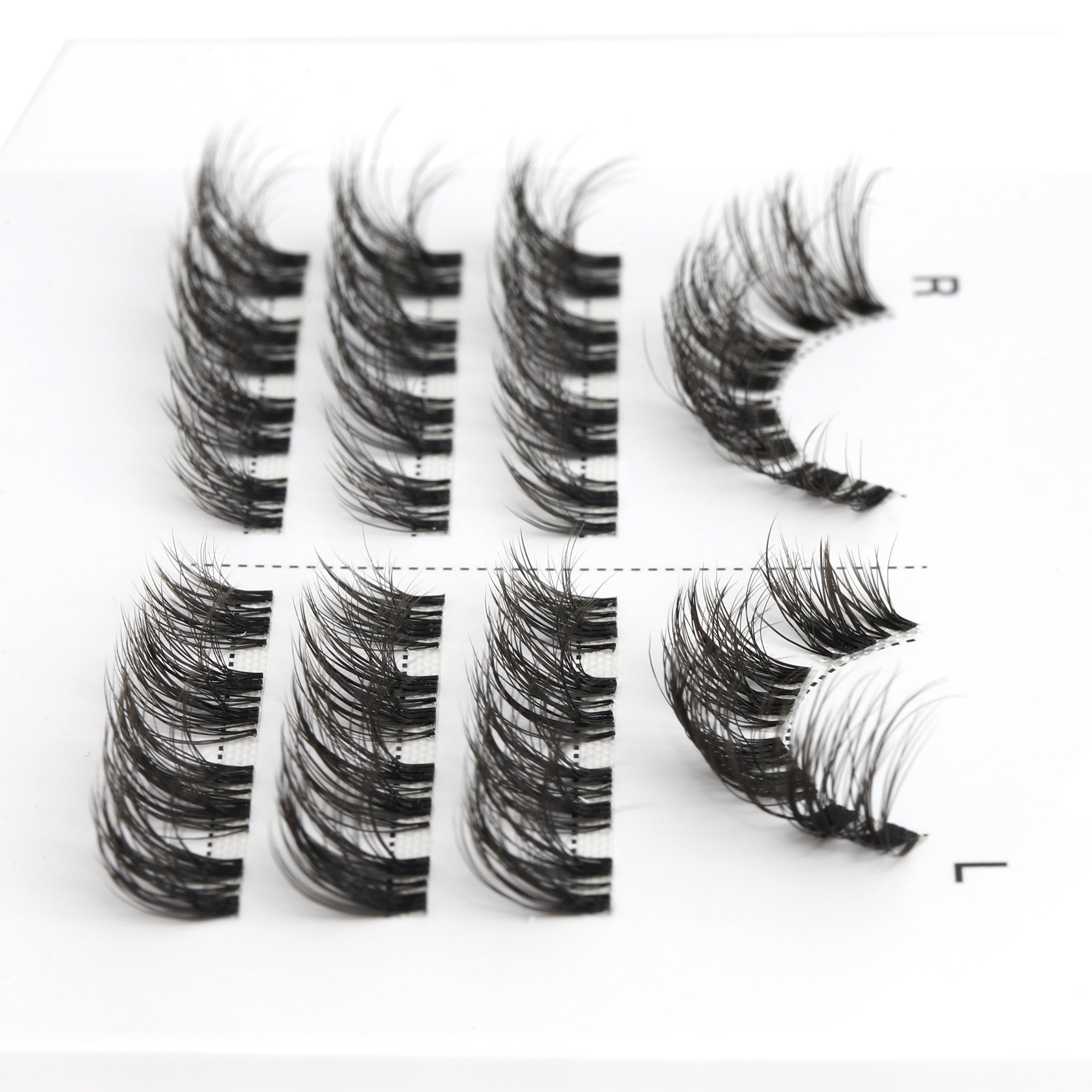 AngelLash