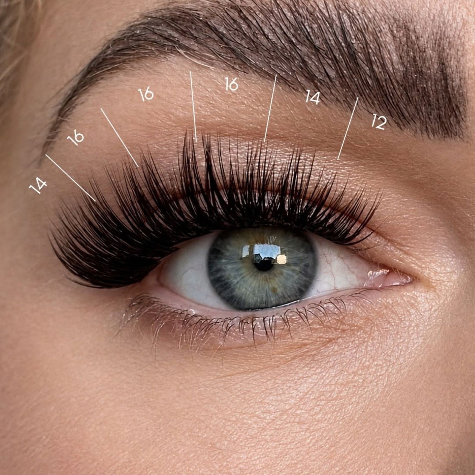 Dark Chocolate – Eyelash clusters 50 pcs