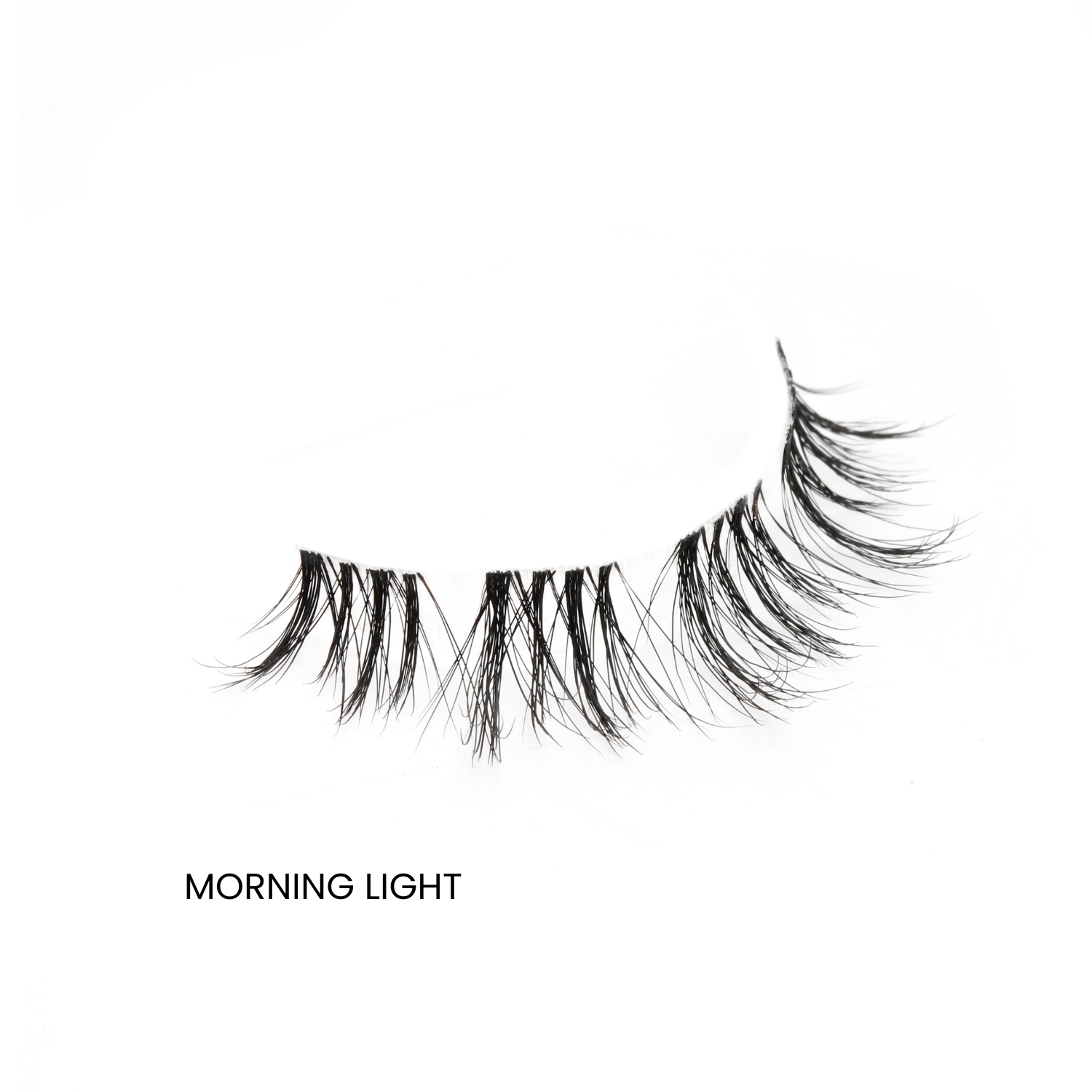 LashMi Holiday Edition (5 modeli)