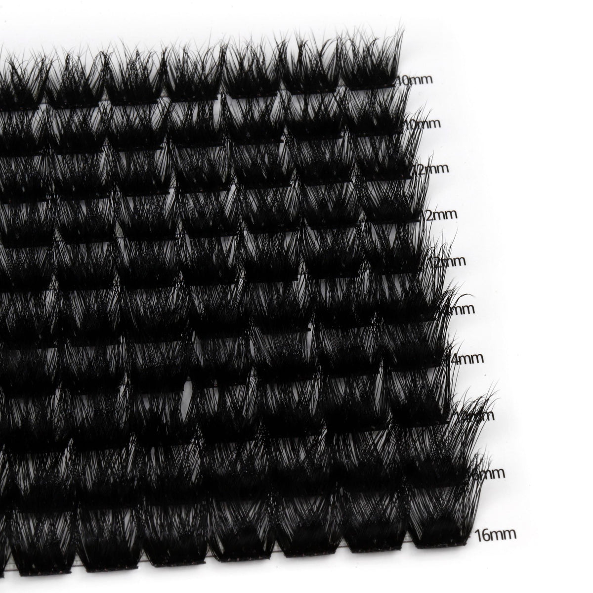 Holly Glam – Kępki rzęs 100szt