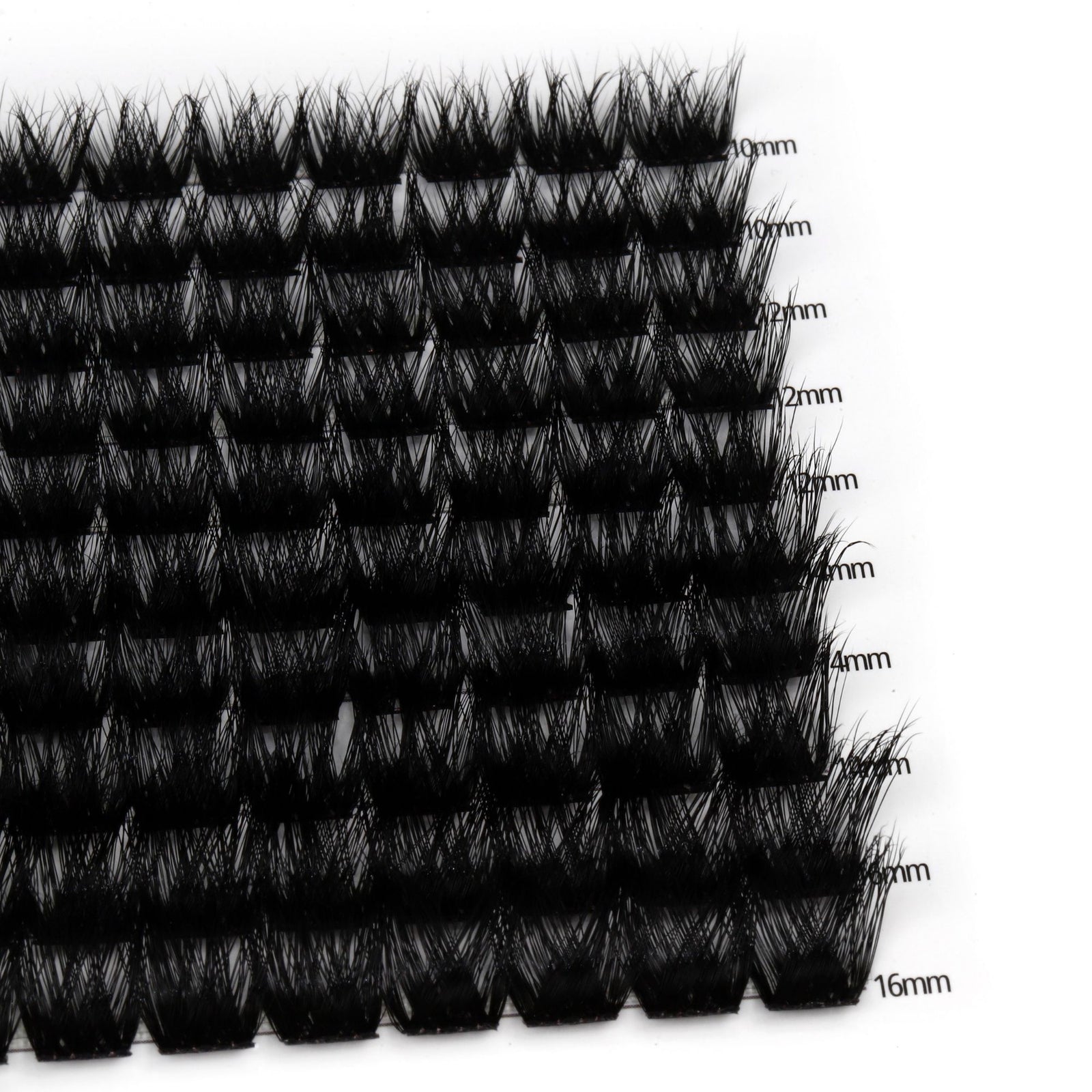 Holly Glam – Kępki rzęs 100szt