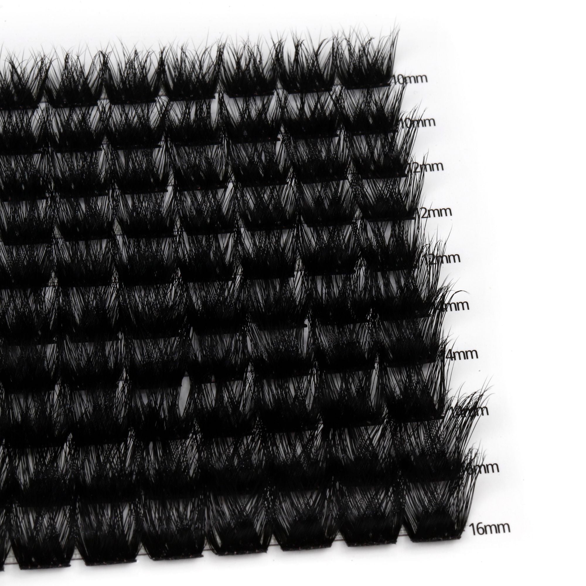 Holly Glam – Kępki rzęs 100szt