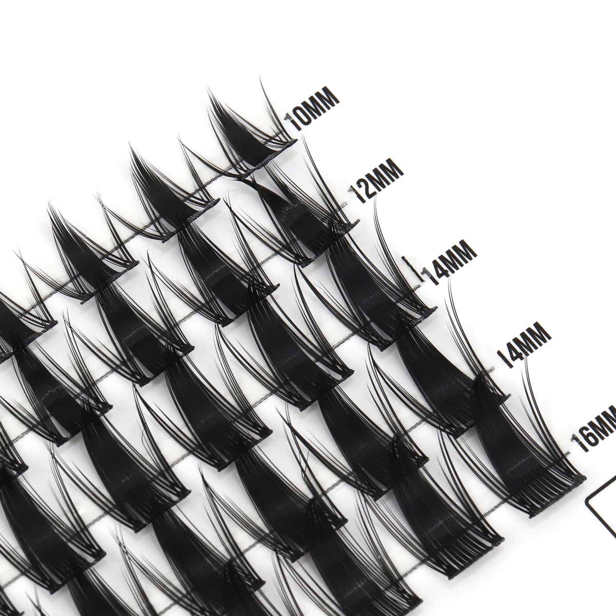 Spicy – Kępki rzęs 50szt