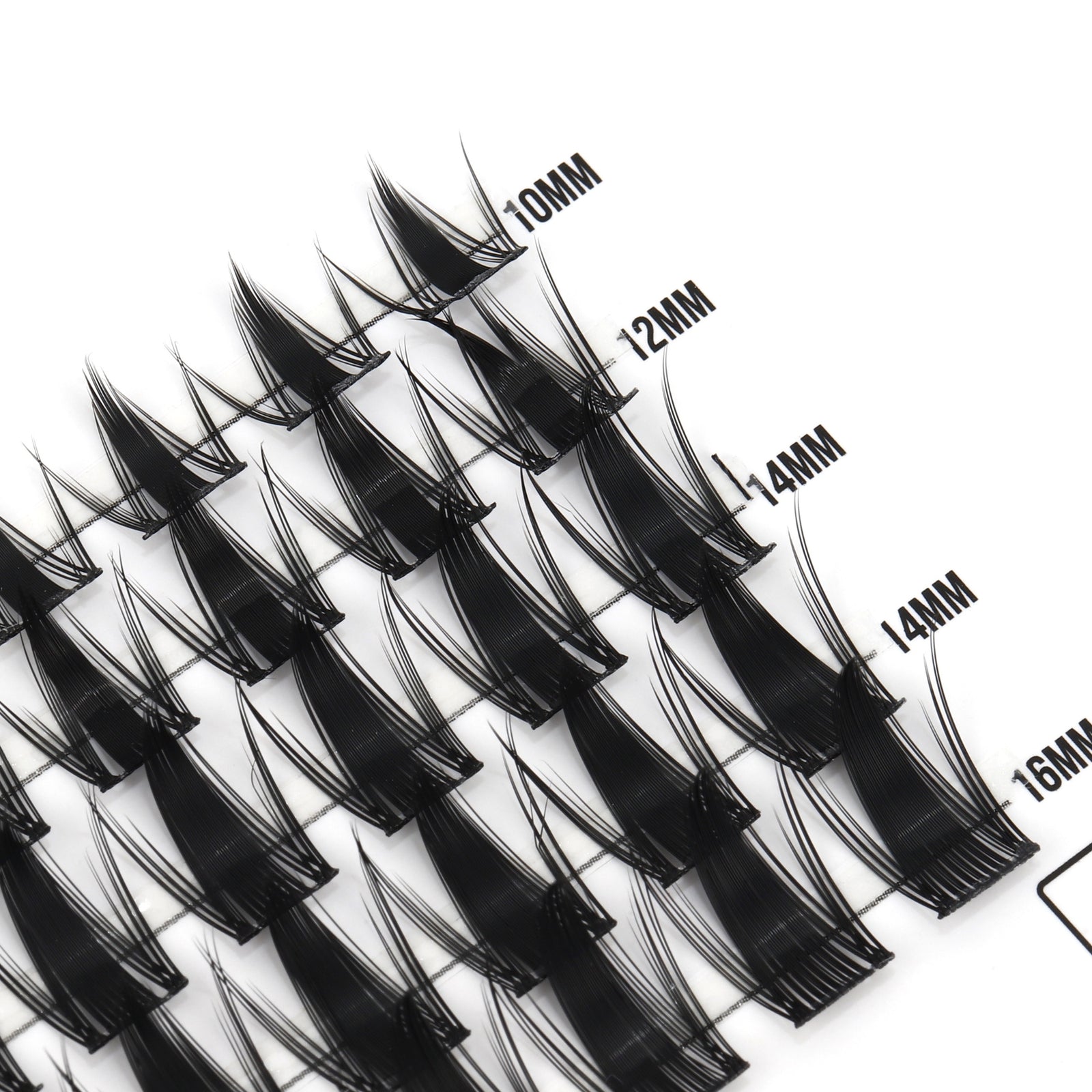 Spicy – Kępki rzęs 50szt