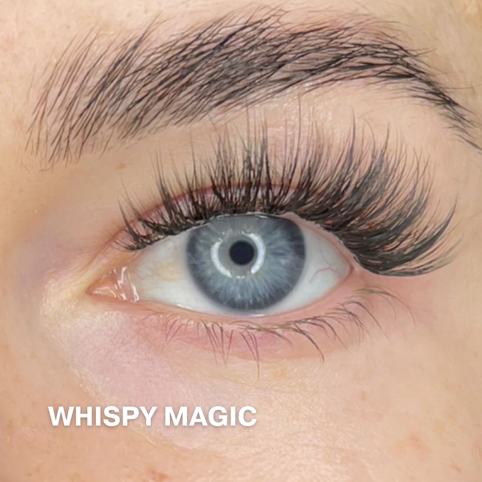 Whispy Magic 4-pack