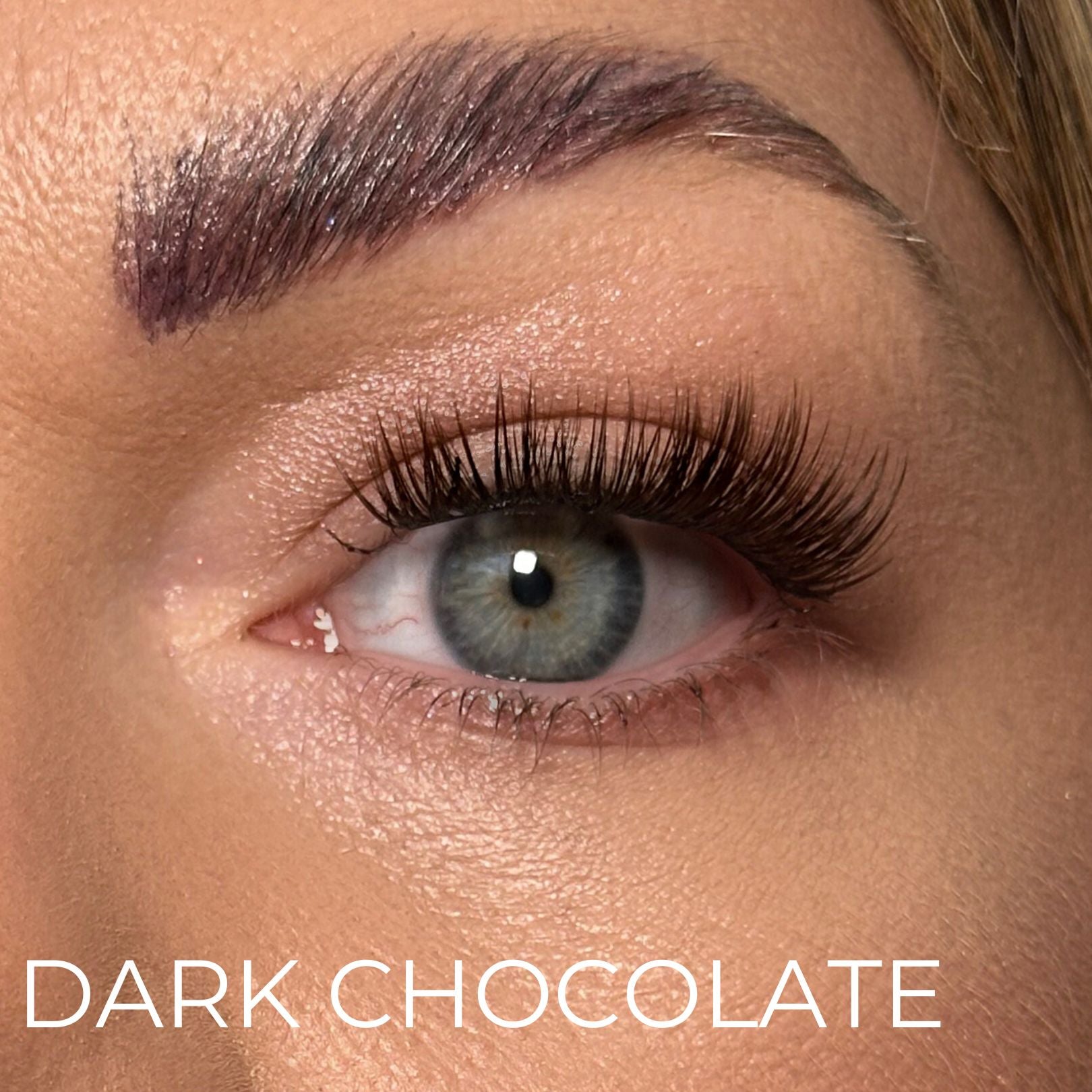 Dark Chocolate – Eyelash clusters 50 pcs