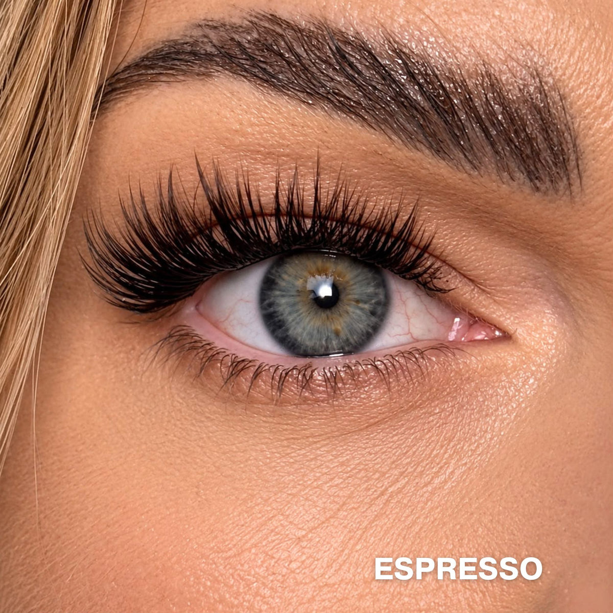 Espresso – Kępki rzęs 50szt