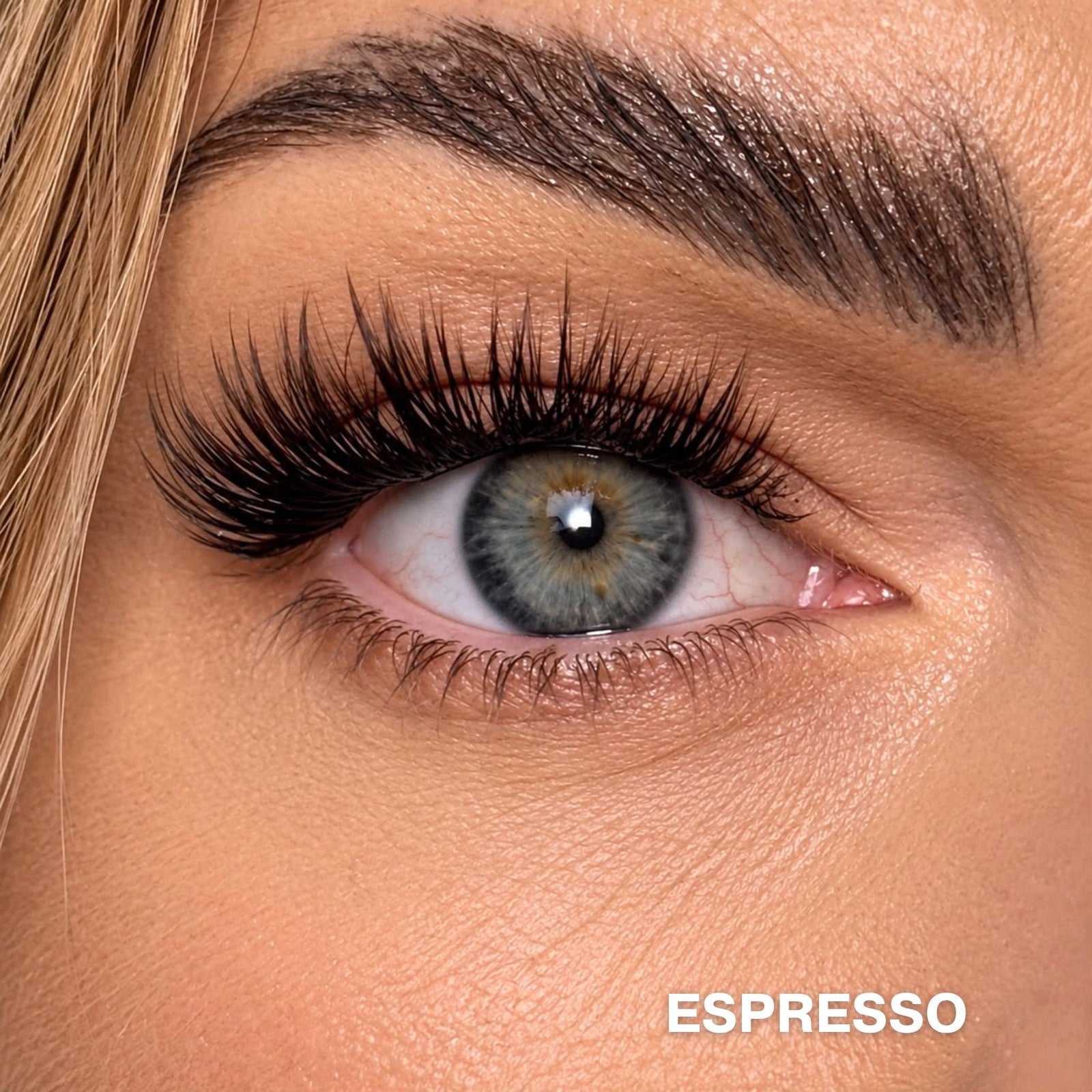 Espresso – Kępki rzęs 50szt